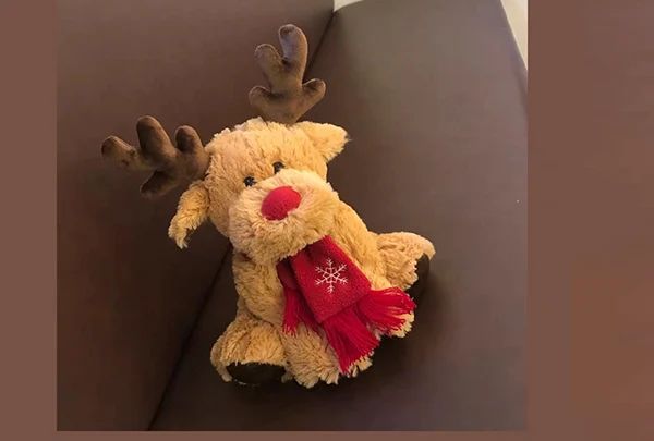 Utrzymanie pluszowych zabawek